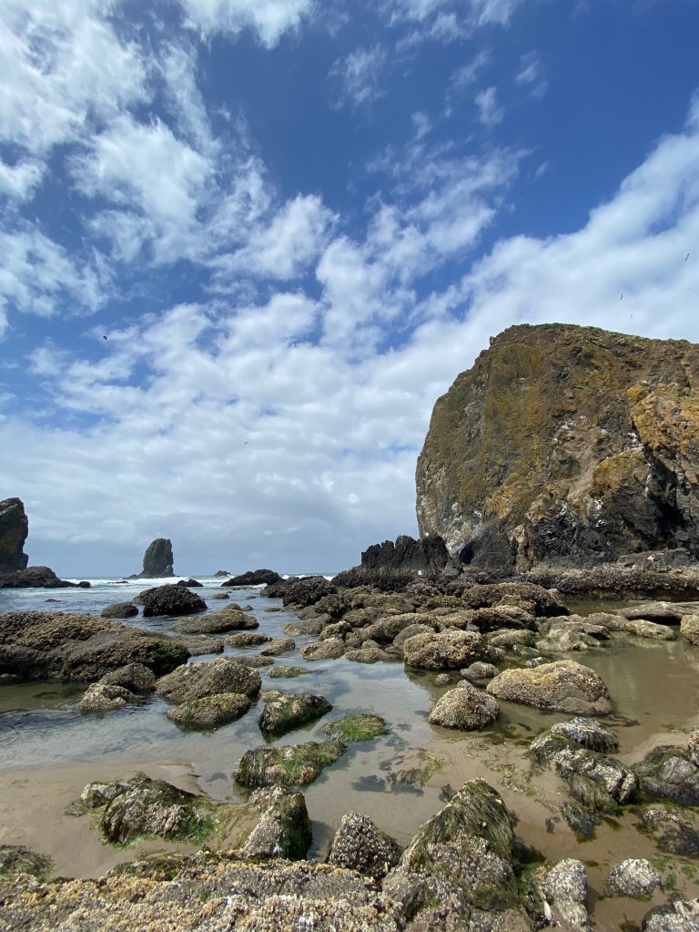 Low tide at Haystack Rock, Cannon Beach, Oregon.
