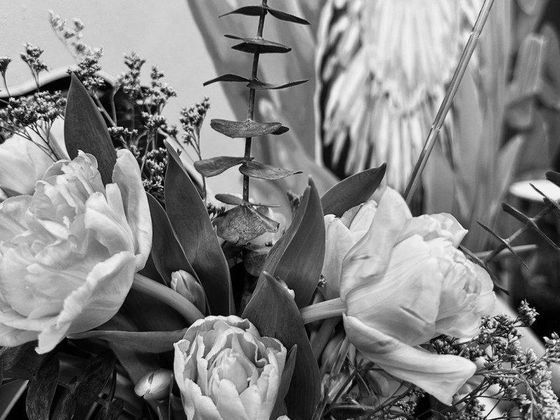 Authority is Uncomfortable When You’re Taught To Be&nbsp;Agreeable